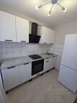 3-к кв. Санкт-Петербург ул. Есенина, 32К1 (60.0 м)