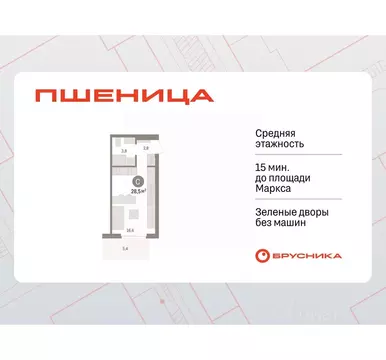 Студия Новосибирская область, Новосибирский район, Краснообск рп, 3-й ...