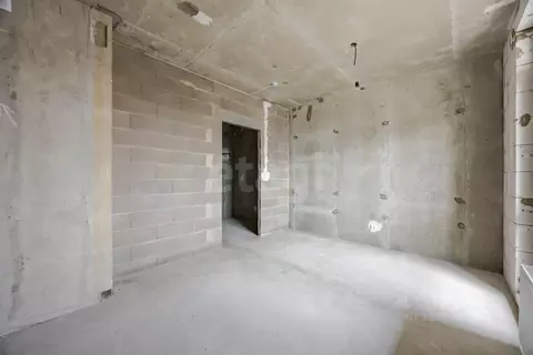 Студия Санкт-Петербург Пискаревский просп., 142к1 (21.6 м)