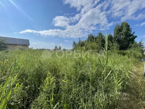 Участок в Тюменская область, Тюмень Россиянка садовое товарищество,  ...
