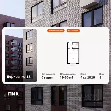 Студия Приморский край, Владивосток ул. Борисенко, 48к1 (19.6 м)
