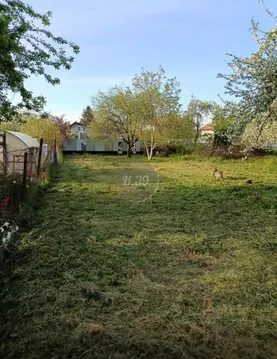 Участок в Калининградская область, Калининград Победа садовое ...