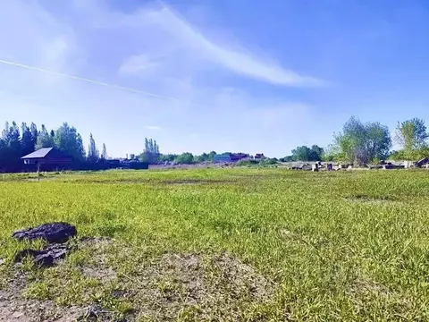 Участок в Омская область, Омский район муниципальный округ, д. ...