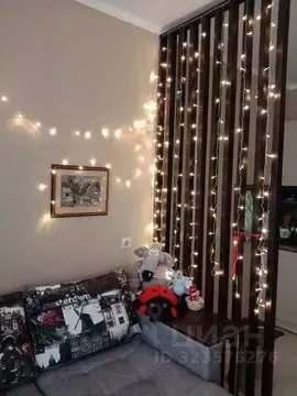 1-к кв. Краснодарский край, Анапа Парковая ул., 61к3 (26.0 м)