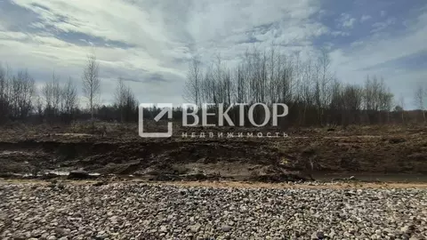 Участок в Костромская область, Кострома ул. Героев (8.1 сот.)