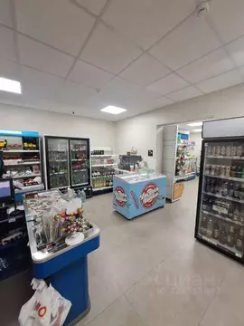 Торговая площадь в Москва Бескудниковский бул., 29К1 (71 м)