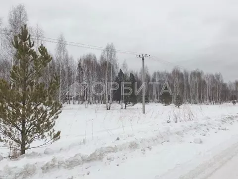 Участок в Тюменская область, Нижнетавдинский район, Венеция СНТ  (7.41 ...