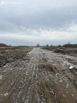 Участок в посёлок Заозерье, Чистопрудная улица (5 м)
