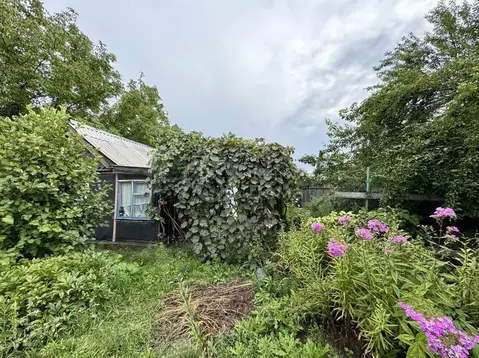 Дом в Волгоградская область, Волгоград Мичуринец СНТ, № 5 массив,  (20 ...