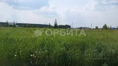 Участок в Тюменская область, Тюменский район, с. Борки  (13.96 сот.)