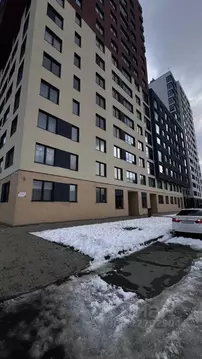 Студия Новосибирская область, Новосибирск Тайгинская ул., 39 (29.2 м)