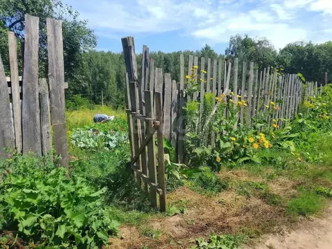 Участок в Брянская область, Брянский район, Мичуринское с/пос, ...