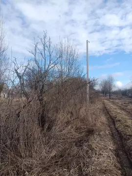 Участок в Брянская область, Брянский район, Снежское с/пос, с. ...