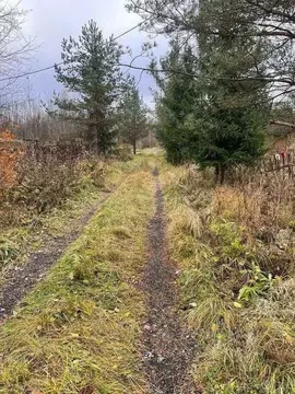 Участок в Новгородская область, Новгородский район, Савинское с/пос, ...
