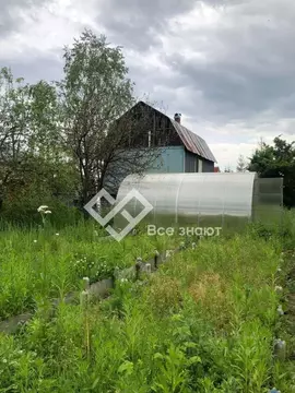 Дом в Челябинская область, Копейск Любитель СНТСН, 4А (90 м)