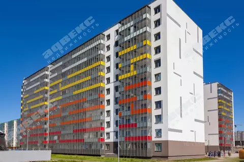 Студия Санкт-Петербург пос. Шушары, просп. Старорусский, 13к1 (22.0 м)