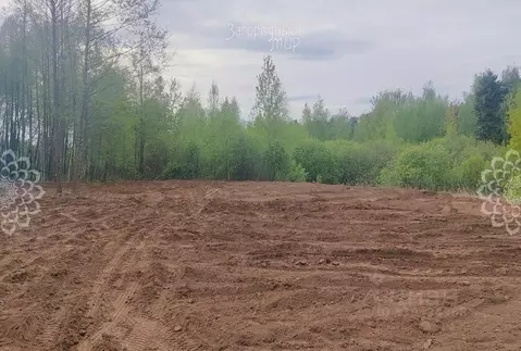 Участок в Московская область, Балашиха СНТ Заря тер.,  (10.0 сот.)