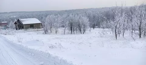 Участок в Кемеровская область, Новокузнецкий муниципальный округ, пос. ...