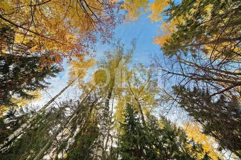 Участок в Москва Марушкинское поселение, д. Крекшино, Чистые Пруды кп, ...