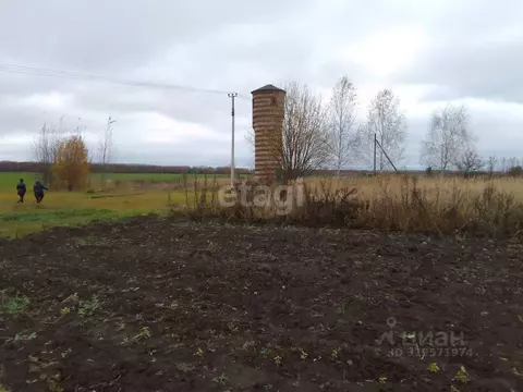 Участок в Владимирская область, Муром с. Ковардицы, ул. Вишневая, 41 ...