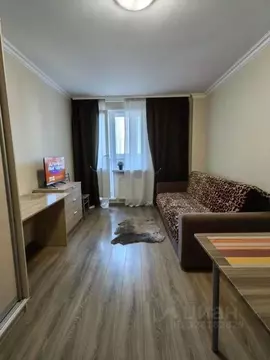 Студия Санкт-Петербург пос. Шушары, просп. Новгородский, 4 (24.0 м)