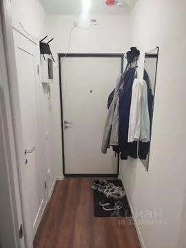 Студия Санкт-Петербург ул. Пейзажная, 24к1 (20.0 м)