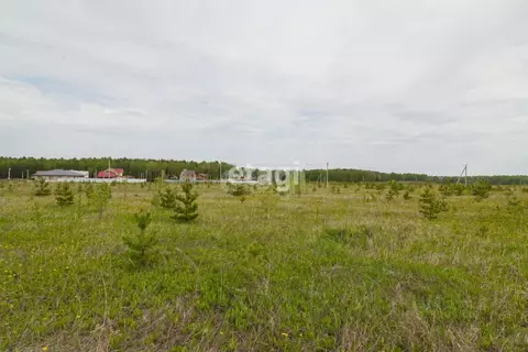 Участок в Тюменская область, Тюменский муниципальный округ, с. Кулига, ...