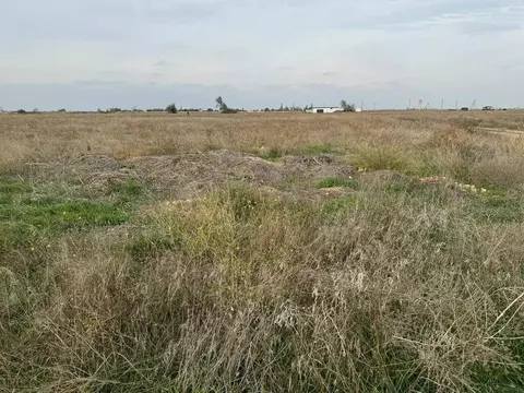 Участок в Крым, Черноморский район, с. Окуневка ул. Крупской (100.0 ...