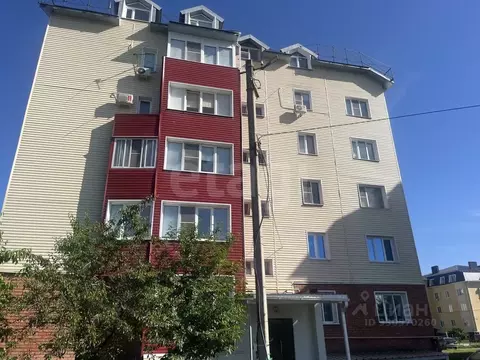 2-к кв. Воронежская область, Борисоглебск Просторная ул., 4 (53.5 м)