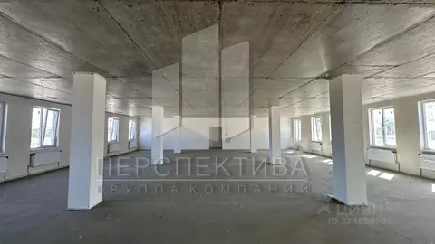 Помещение свободного назначения в Краснодарский край, Анапа проезд ...