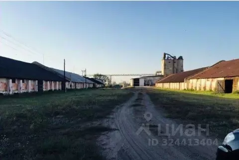 Производственное помещение в Алтайский край, с. Родино ул. Ленина, 8 ...