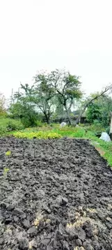 Участок в Брянская область, Брянск Прогресс СНТ, 13 (4.0 сот.)