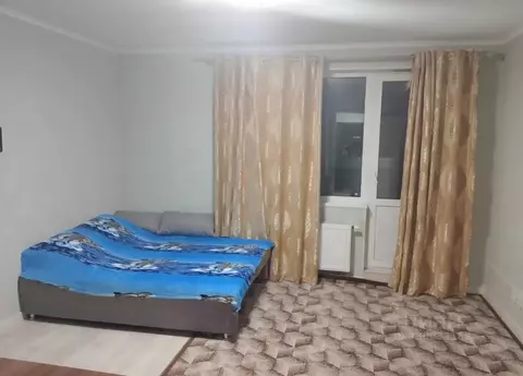 1-к кв. Санкт-Петербург пос. Парголово, Заречная ул., 13к1 (26.0 м)