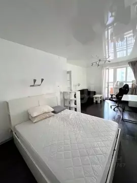 1-к кв. Новосибирская область, Новосибирск ул. Фрунзе, 234 (43.0 м)