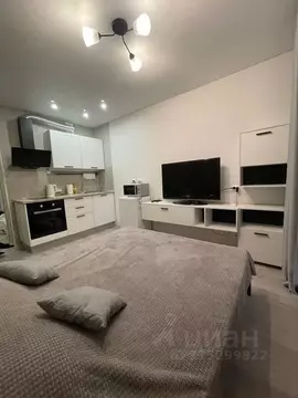 Студия Новосибирская область, Новосибирск ул. Забалуева, 102/1 (22.0 ...