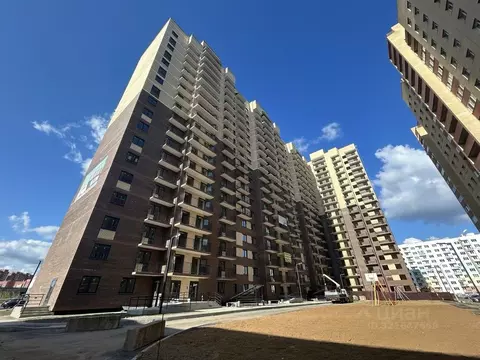 Студия Ярославская область, Ярославль ул. Строителей, 16к3 (27.0 м)