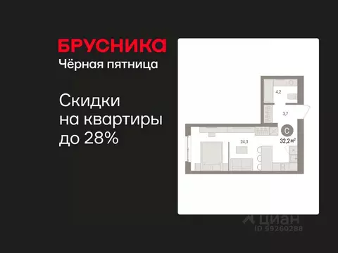 Студия Свердловская область, Екатеринбург пер. Торфяной, 4 (32.2 м)