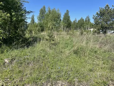 Участок в Московская область, Раменское Дергаево-2 кп, ул. Янтарная ...