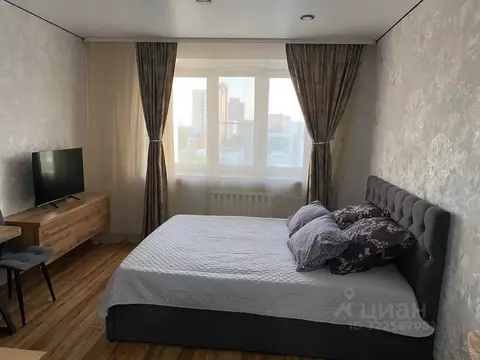 Студия Курганская область, Курган ул. Пичугина, 6 (20.0 м)