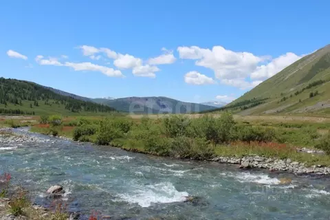 Участок в Алтай, Кош-Агачский район, Джазаторское с/пос, с. Беляши  ...