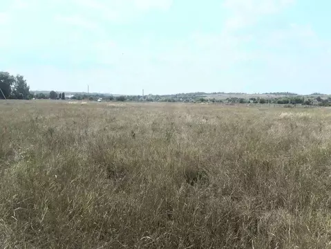 Участок в Воронежская область, Хохольский район, с. Гремячье Садовая ...