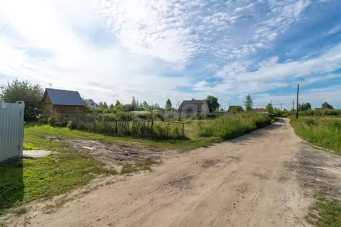 Участок в Тюменская область, Тюмень Садовое товарищество Липовый ...