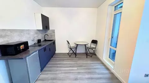 Студия Санкт-Петербург Пулковское ш., 95к3 (27.5 м)