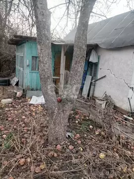 Участок в Липецкая область, Липецк Строитель-2 СНТ, 3-я линия (5.7 ...