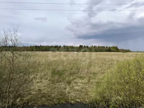 Участок в Ярославская область, Ярославский муниципальный округ, ...