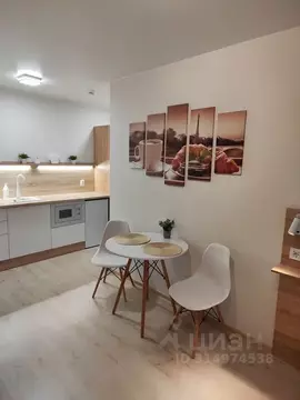 Студия Вологодская область, Череповец Первомайская ул., 16 (26.0 м)