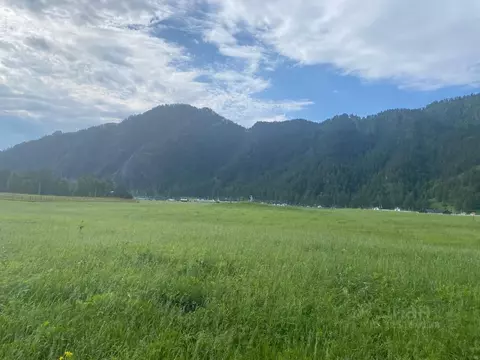 Участок в Алтай, Чемальский район, с. Чепош  (110.0 сот.)