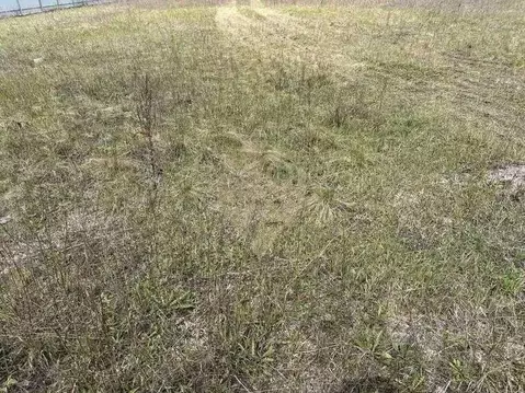 Участок в Белгородская область, Старый Оскол Пролески мкр,  (15.0 ...