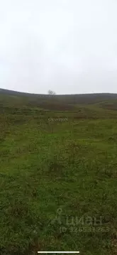 Участок в Алтай, Майминский район, пос. Алферово Центральная ул., 31А ...