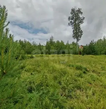 Участок в Новосибирская область, Новосибирский район, Каменский ...